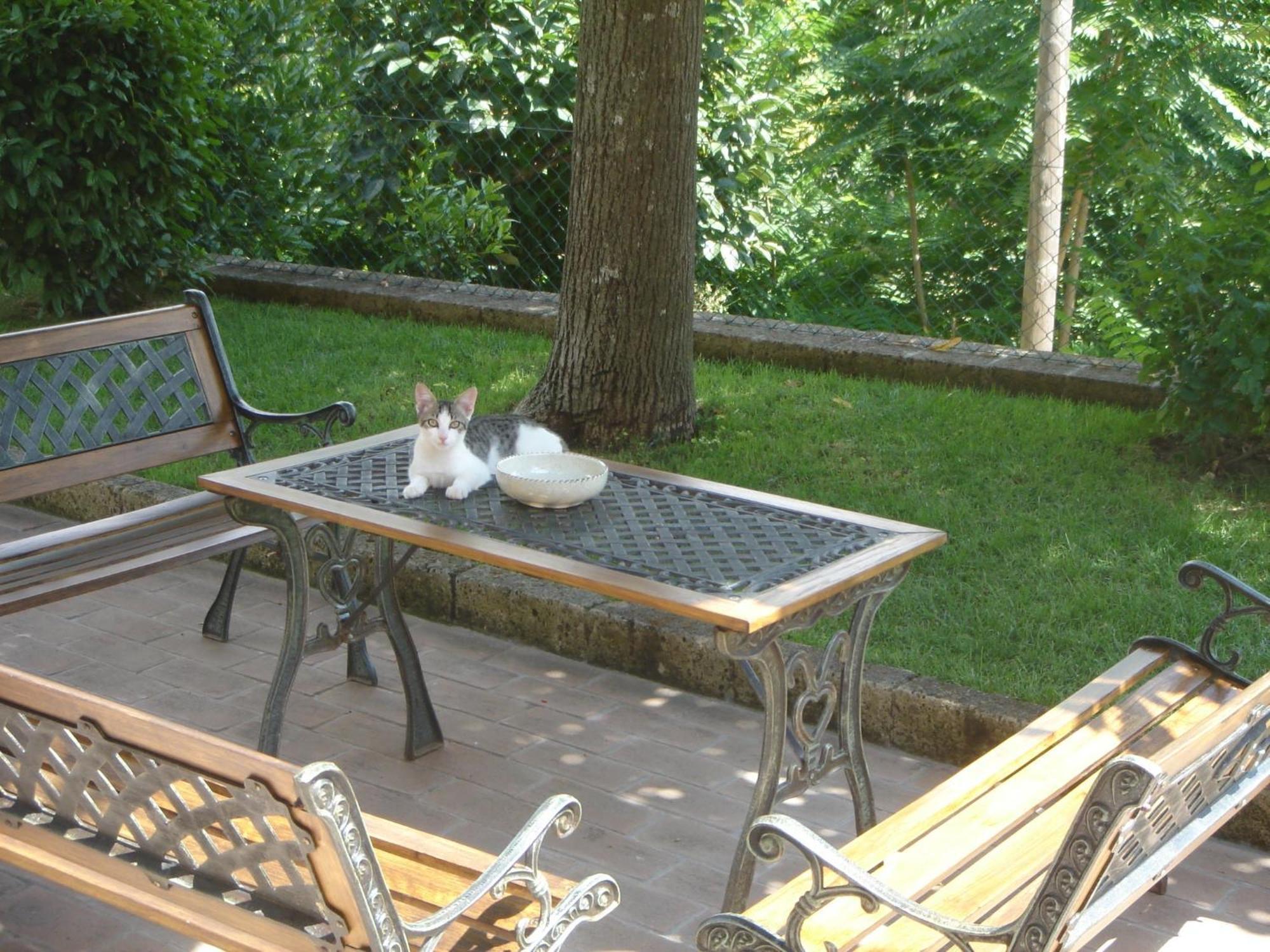 Country House Il Tiglio Mergo Luaran gambar